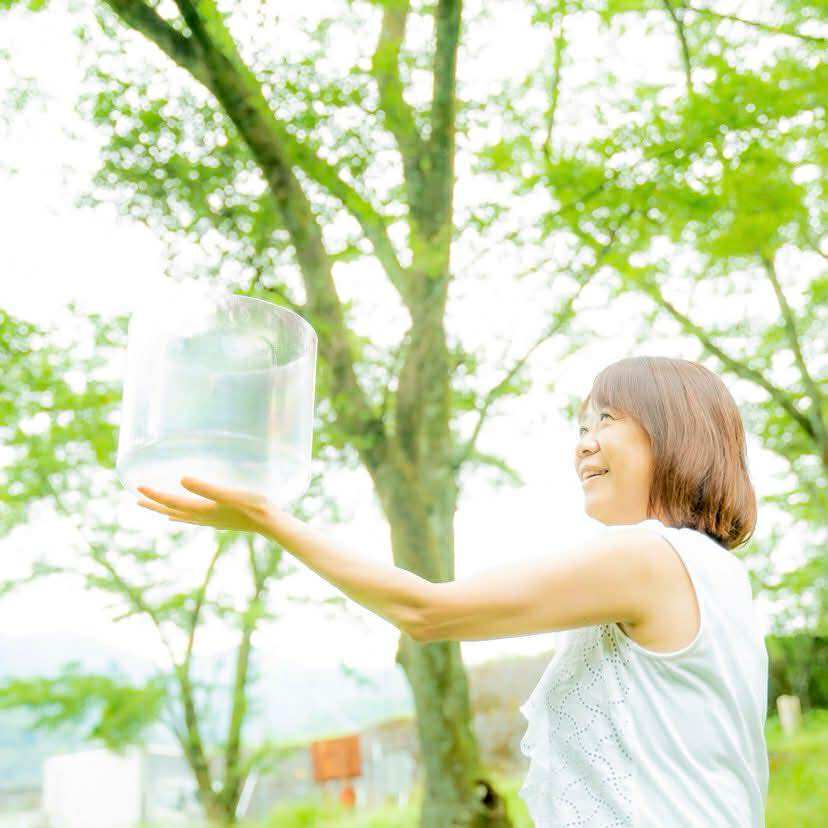 瑠美